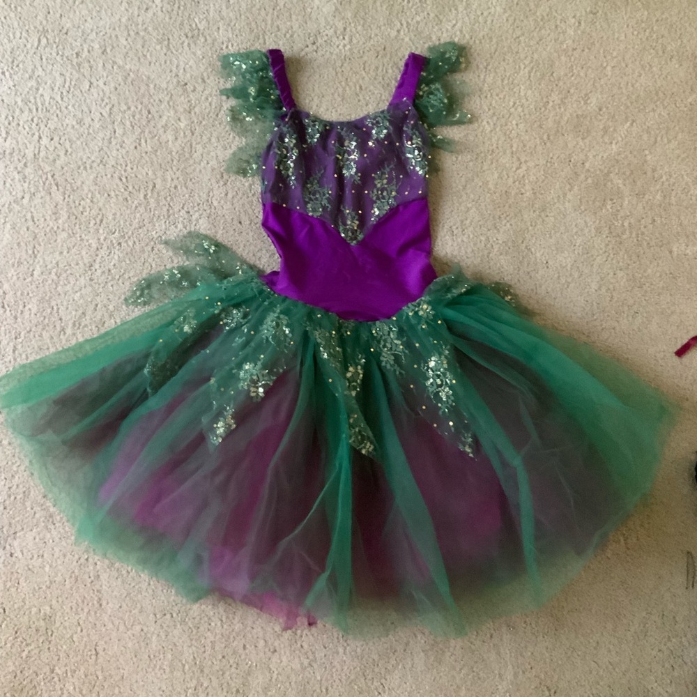 Purple and Green Fairy-like Ballet Costume
